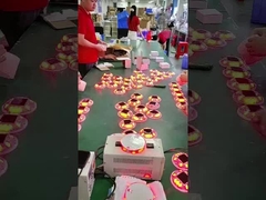 Long Lasting Solar LED Road Studs Plastic Road Stud Reflective Road Reflectors (Đường phản chiếu bằng nhựa)